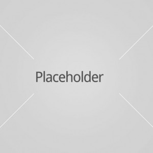 placeholder1